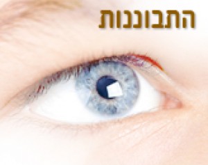 חב"ד 